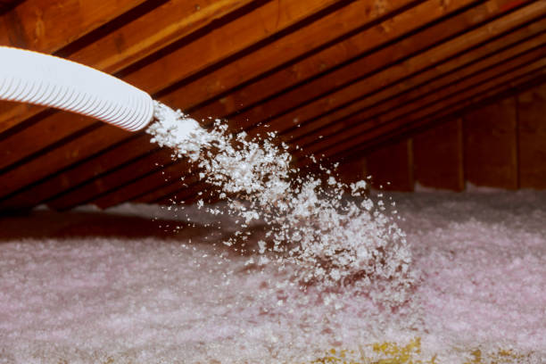 Best Professional Insulation Contractor  in Langhorne Manor, PA